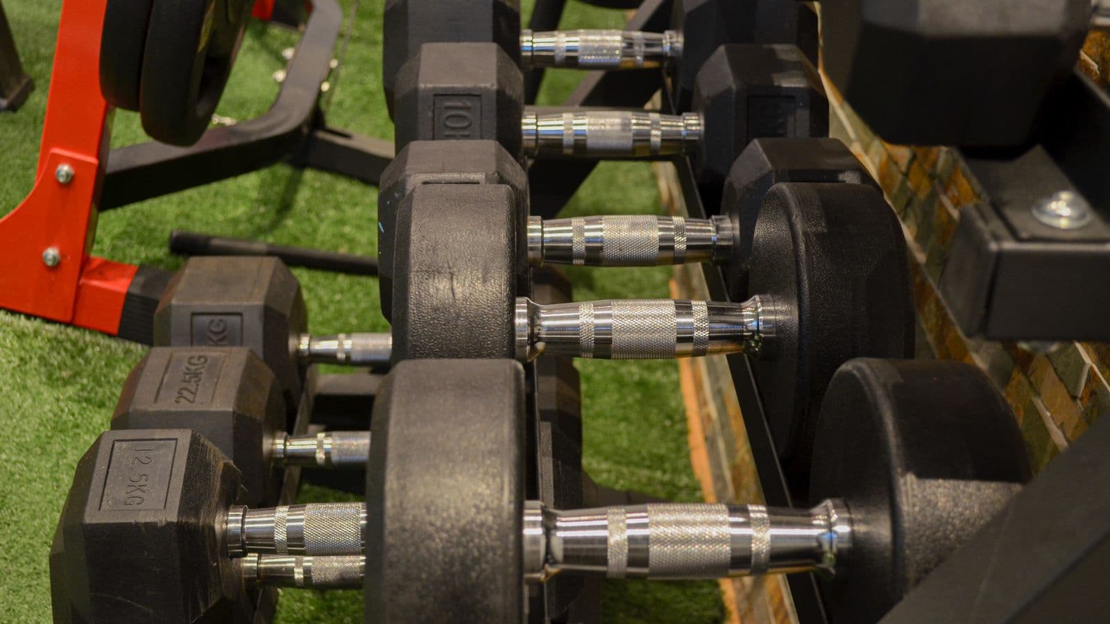 Mancuernas ordenadas en la sala de entrenamiento para rehabilitación deportiva
